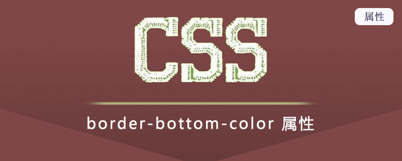 border-bottom-color